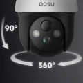 393591.jpg