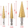 402142.jpg